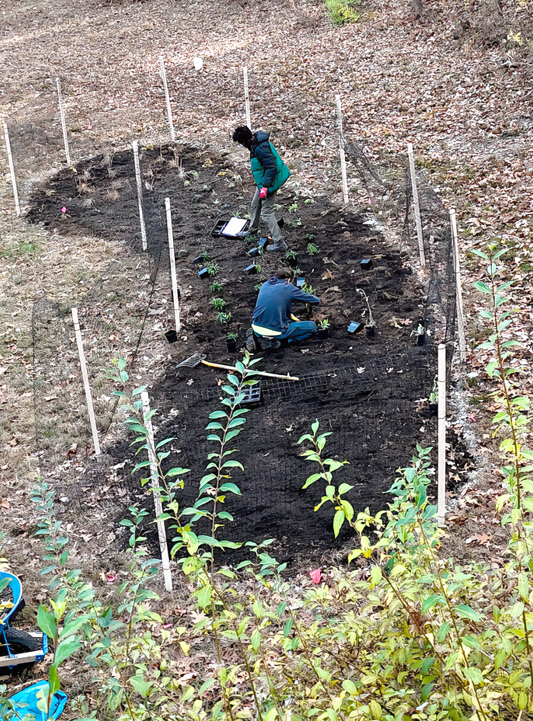 Native Gardens