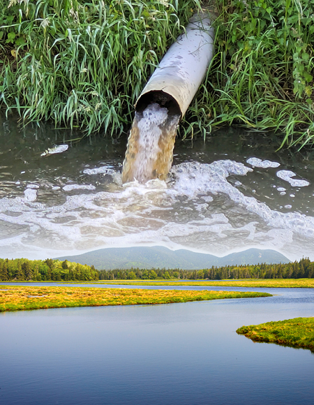 Polluted Water Rule